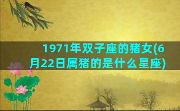 1971年双子座的猪女(6月22日属猪的是什么星座)
