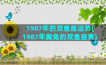 1987年的双鱼座运势(1987年属兔的双鱼座男)