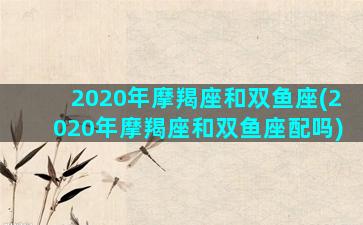 2020年摩羯座和双鱼座(2020年摩羯座和双鱼座配吗)