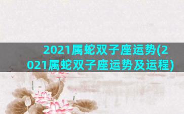 2021属蛇双子座运势(2021属蛇双子座运势及运程)