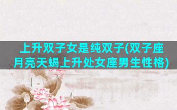 上升双子女是纯双子(双子座月亮天蝎上升处女座男生性格)