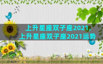 上升星座双子座2021,上升星座双子座2021运势