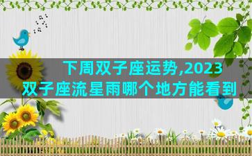 下周双子座运势,2023双子座流星雨哪个地方能看到