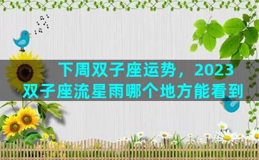 下周双子座运势，2023双子座流星雨哪个地方能看到