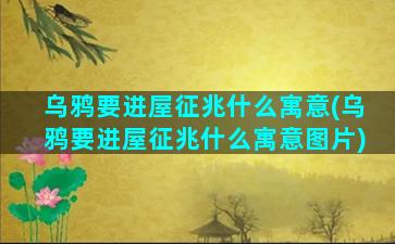 乌鸦要进屋征兆什么寓意(乌鸦要进屋征兆什么寓意图片)