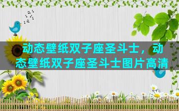 动态壁纸双子座圣斗士，动态壁纸双子座圣斗士图片高清