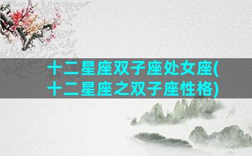 十二星座双子座处女座(十二星座之双子座性格)