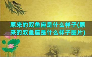 原来的双鱼座是什么样子(原来的双鱼座是什么样子图片)