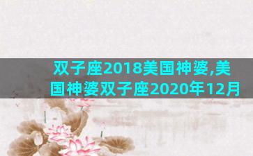双子座2018美国神婆,美国神婆双子座2020年12月