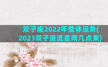 双子座2022年整体运势(2023双子座流星雨几点来)