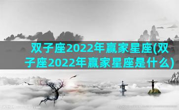 双子座2022年赢家星座(双子座2022年赢家星座是什么)