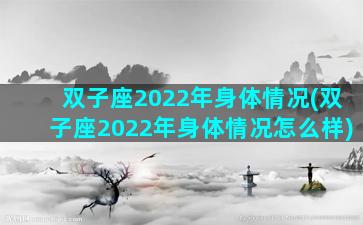 双子座2022年身体情况(双子座2022年身体情况怎么样)
