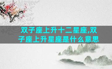 双子座上升十二星座,双子座上升星座是什么意思