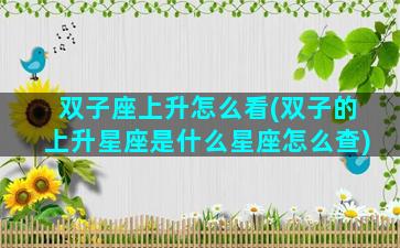 双子座上升怎么看(双子的上升星座是什么星座怎么查)