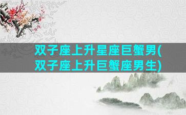 双子座上升星座巨蟹男(双子座上升巨蟹座男生)