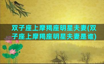 双子座上摩羯座明星夫妻(双子座上摩羯座明星夫妻是谁)