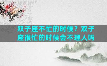 双子座不忙的时候？双子座很忙的时候会不理人吗