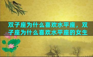 双子座为什么喜欢水平座，双子座为什么喜欢水平座的女生
