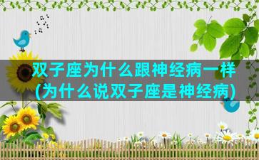 双子座为什么跟神经病一样(为什么说双子座是神经病)