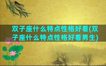 双子座什么特点性格好看(双子座什么特点性格好看男生)