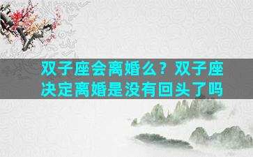 双子座会离婚么？双子座决定离婚是没有回头了吗
