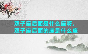 双子座后面是什么座呀，双子座后面的座是什么座