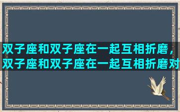 双子座和双子座在一起互相折磨，双子座和双子座在一起互相折磨对方