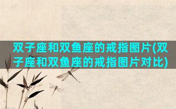 双子座和双鱼座的戒指图片(双子座和双鱼座的戒指图片对比)