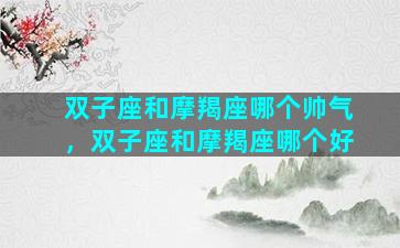 双子座和摩羯座哪个帅气，双子座和摩羯座哪个好