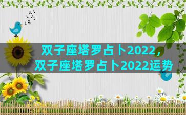 双子座塔罗占卜2022，双子座塔罗占卜2022运势