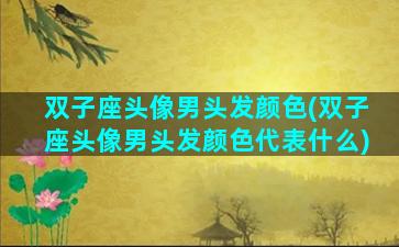 双子座头像男头发颜色(双子座头像男头发颜色代表什么)