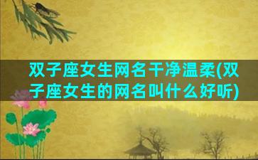 双子座女生网名干净温柔(双子座女生的网名叫什么好听)