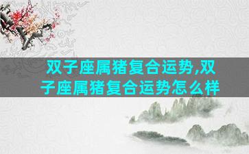 双子座属猪复合运势,双子座属猪复合运势怎么样