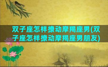 双子座怎样撩动摩羯座男(双子座怎样撩动摩羯座男朋友)