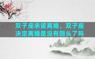 双子座承诺离婚，双子座决定离婚是没有回头了吗