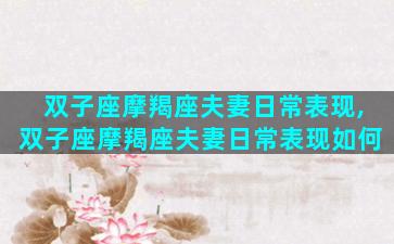 双子座摩羯座夫妻日常表现,双子座摩羯座夫妻日常表现如何