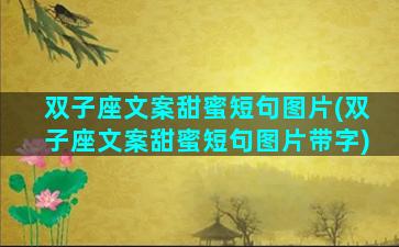 双子座文案甜蜜短句图片(双子座文案甜蜜短句图片带字)
