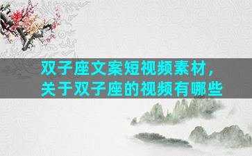双子座文案短视频素材，关于双子座的视频有哪些