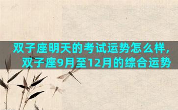 双子座明天的考试运势怎么样,双子座9月至12月的综合运势