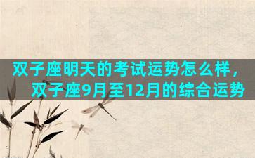 双子座明天的考试运势怎么样，双子座9月至12月的综合运势