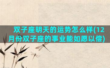 双子座明天的运势怎么样(12月份双子座的事业能如愿以偿)