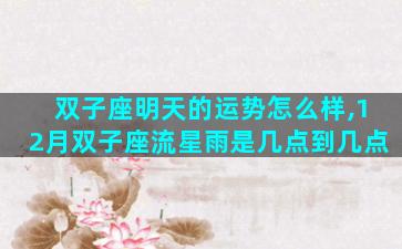 双子座明天的运势怎么样,12月双子座流星雨是几点到几点