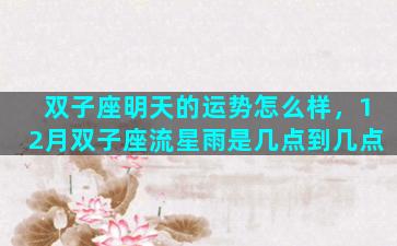 双子座明天的运势怎么样，12月双子座流星雨是几点到几点