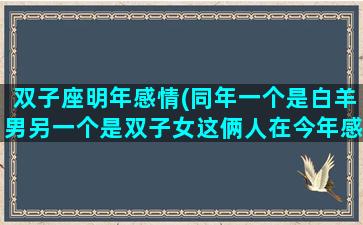 双子座明年感情(同年一个是白羊男另一个是双子女这俩人在今年感情好不好)