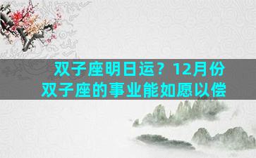 双子座明日运？12月份双子座的事业能如愿以偿