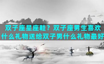 双子座星座鞋？双子座男生喜欢什么礼物送给双子男什么礼物最好