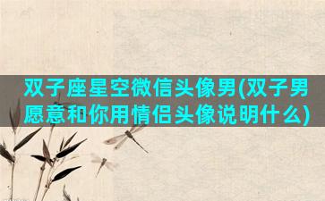 双子座星空微信头像男(双子男愿意和你用情侣头像说明什么)