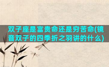 双子座是富贵命还是穷苦命(镜音双子的四季折之羽讲的什么)