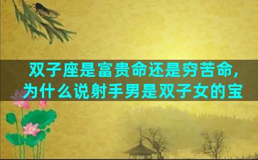 双子座是富贵命还是穷苦命,为什么说射手男是双子女的宝