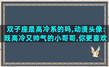 双子座是高冷系的吗,动漫头像:既高冷又帅气的小哥哥,你更喜欢哪一个